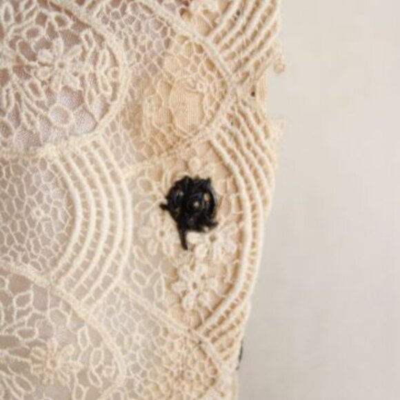 Antique 1900s Blouse Front, 1910s 1920s Ivory Silk Lace Appliques Approx 14" - Picture 4 of 11